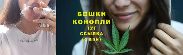 крисы Беломорск