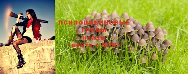 бутират Белокуриха