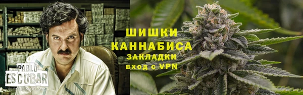 крисы Беломорск