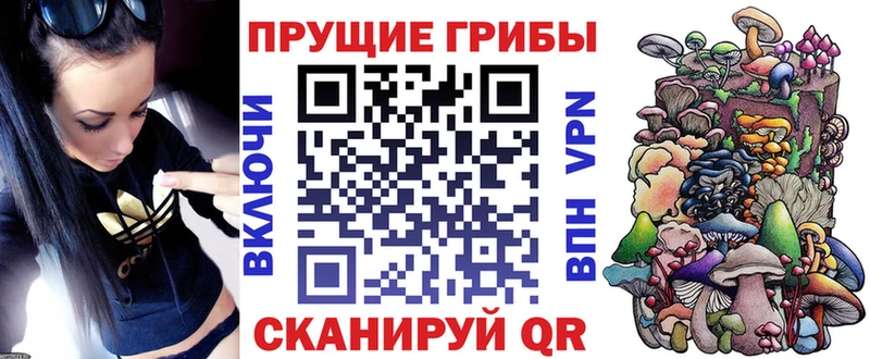 Псилоцибиновые грибы MAGIC MUSHROOMS  Вышний Волочёк 